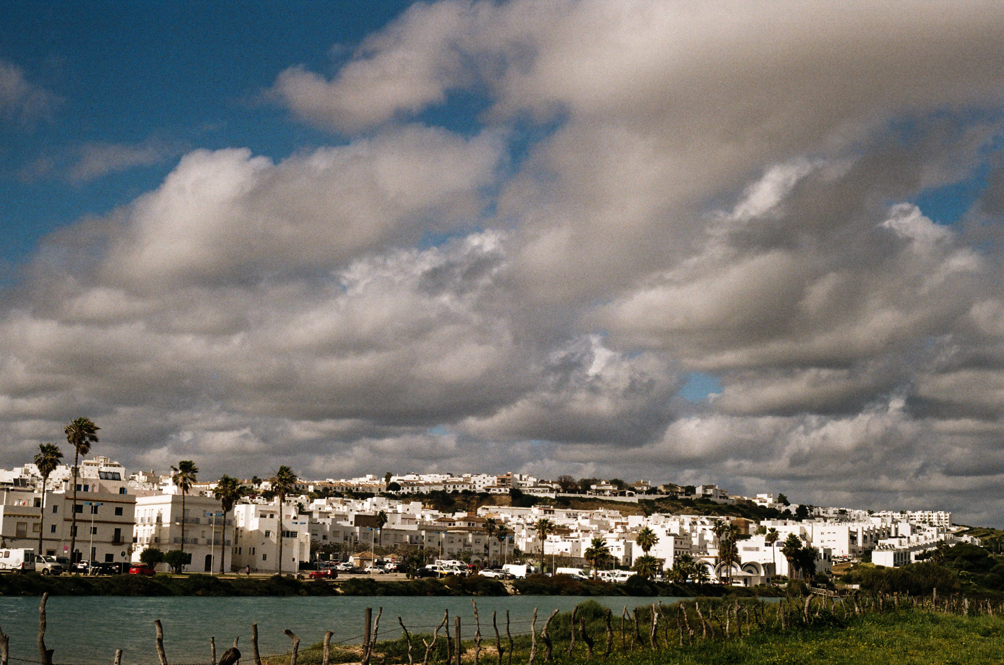color-film - 3.jpg